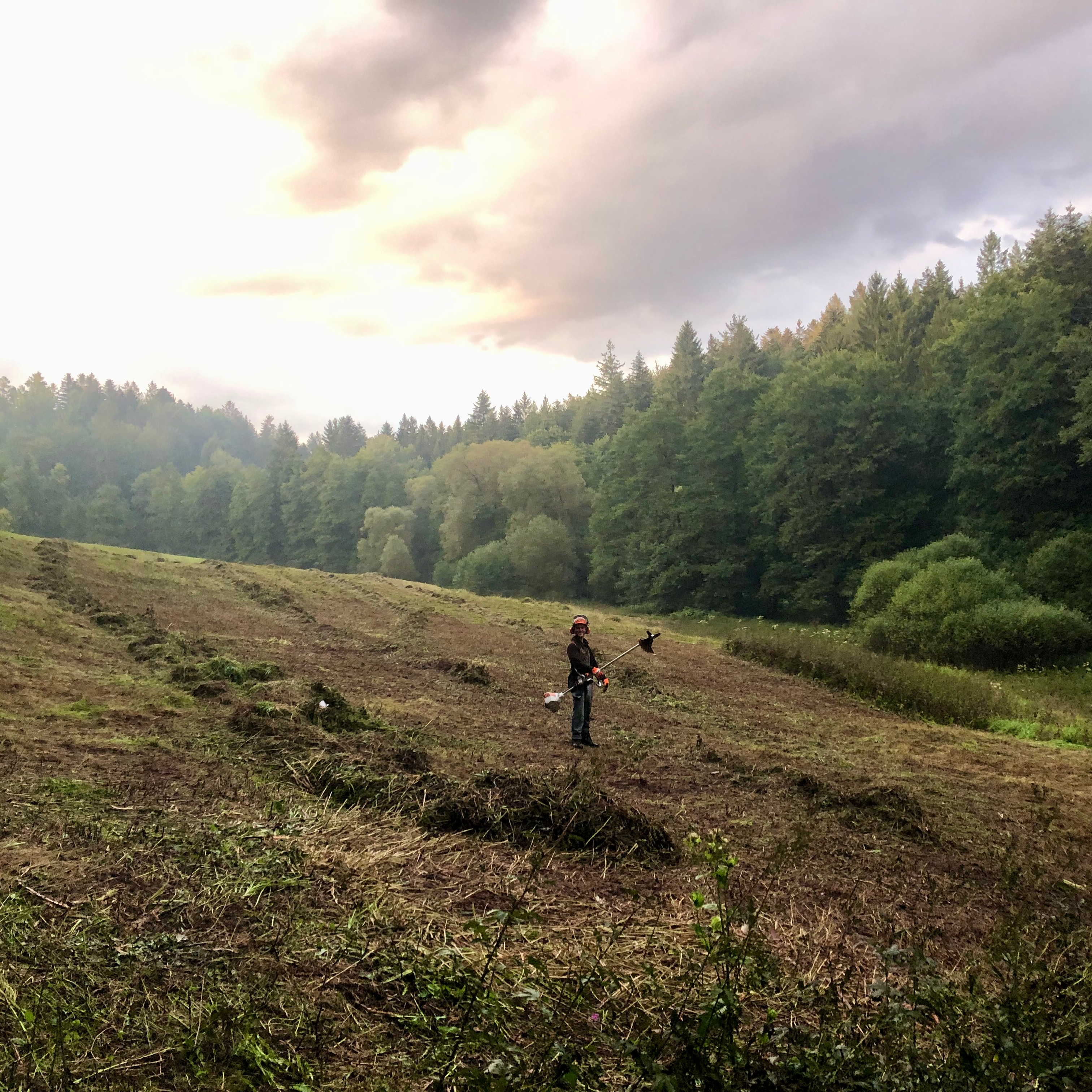 Landschaftspflege